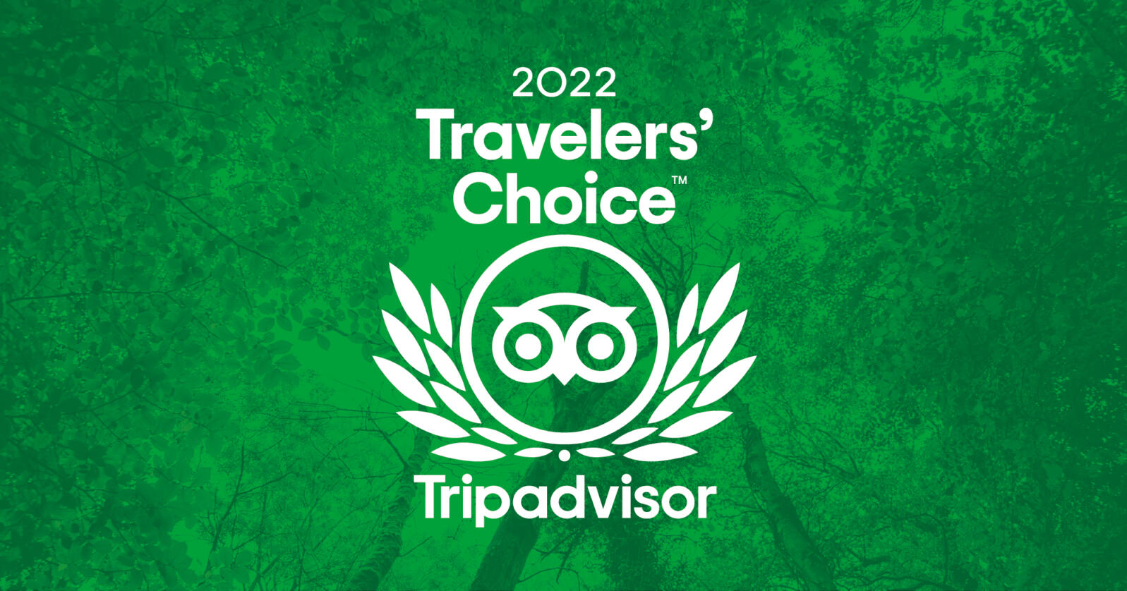 PIBO Travel won The 2022 Tripadvisor's Travelers' choice.